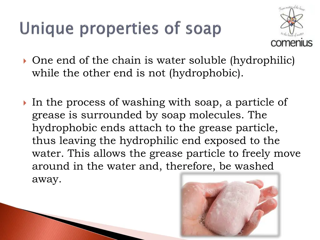 one end of the chain is water soluble hydrophilic