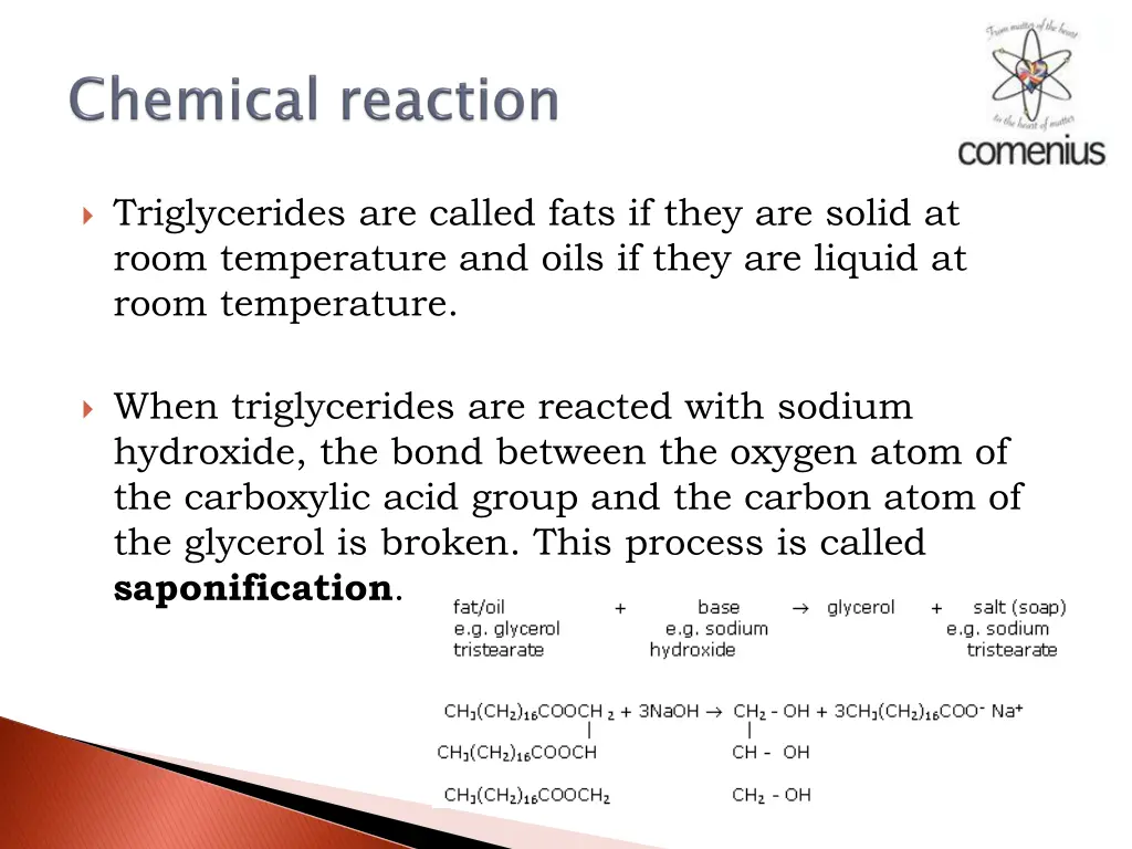 triglycerides are called fats if they are solid