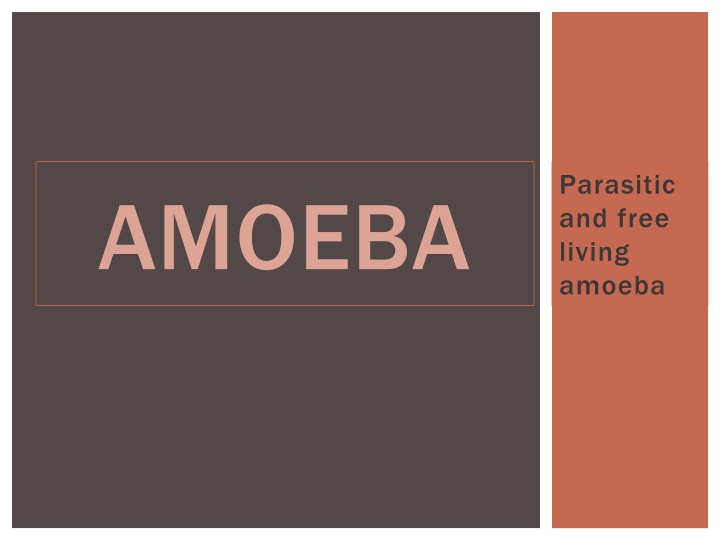 parasitic and free living amoeba