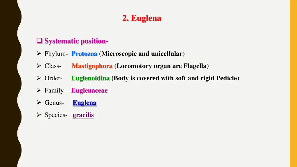 2 euglena