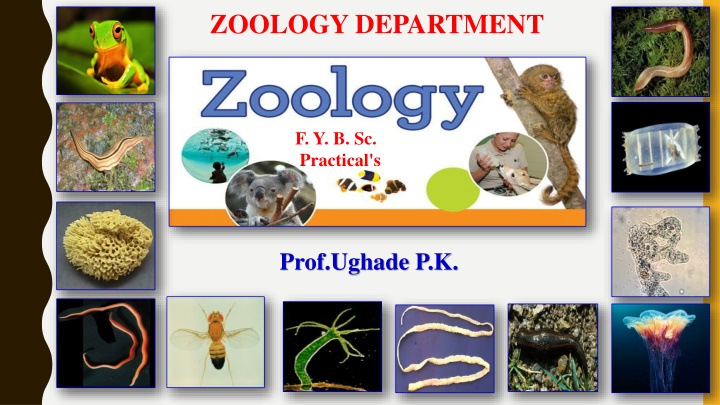 zoology department