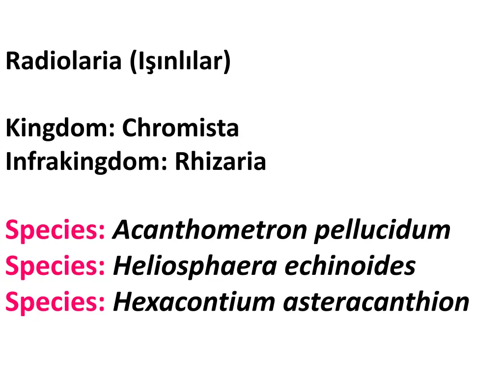 radiolaria i nl lar