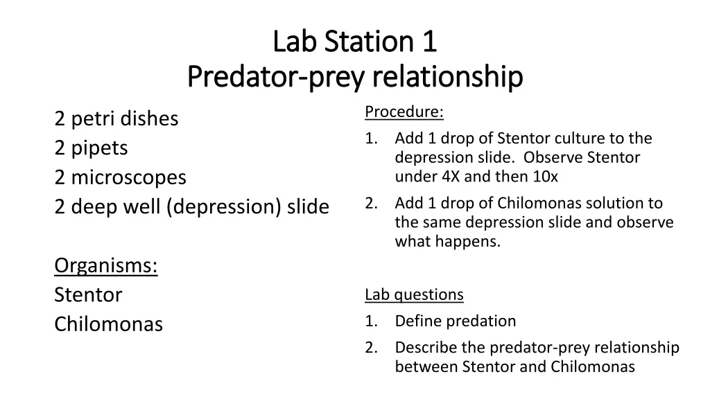 lab station 1 lab station 1 predator predator