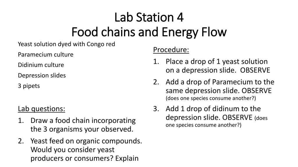 lab station 4 lab station 4