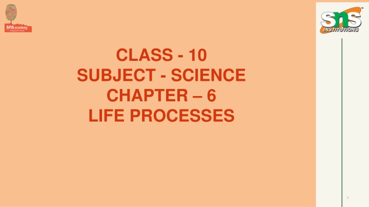 class 10 subject science chapter 6 life processes