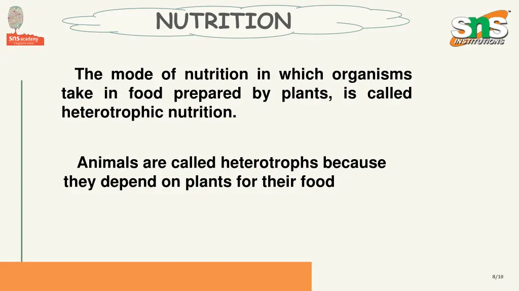 nutrition 3