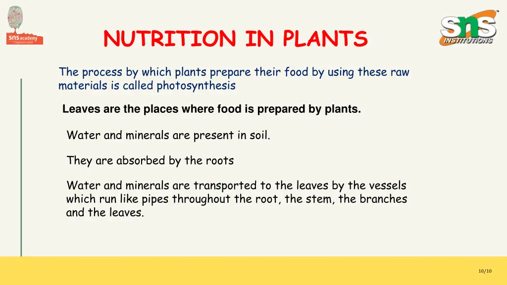 nutrition in plants 1