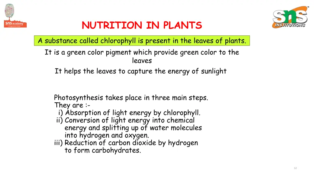 nutrition in plants 3