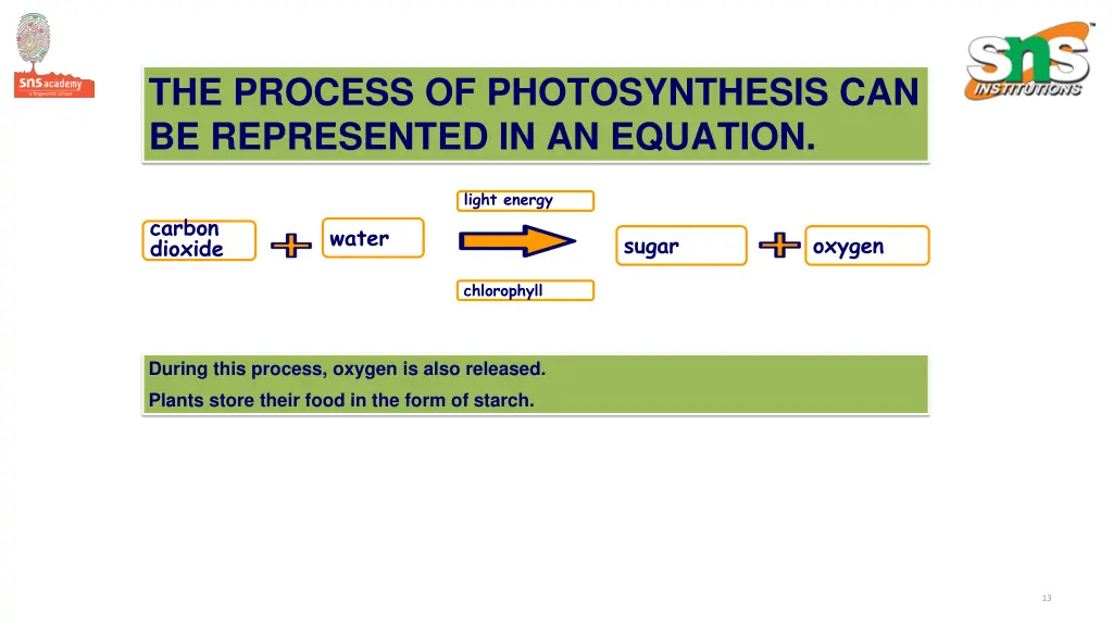 the process of photosynthesis can be represented