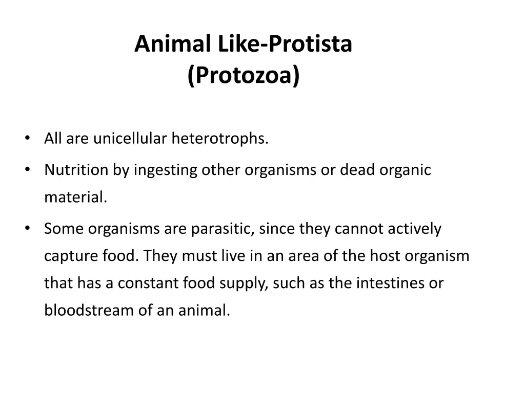 animal like protista protozoa