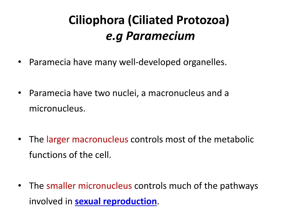 ciliophora ciliated protozoa e g paramecium