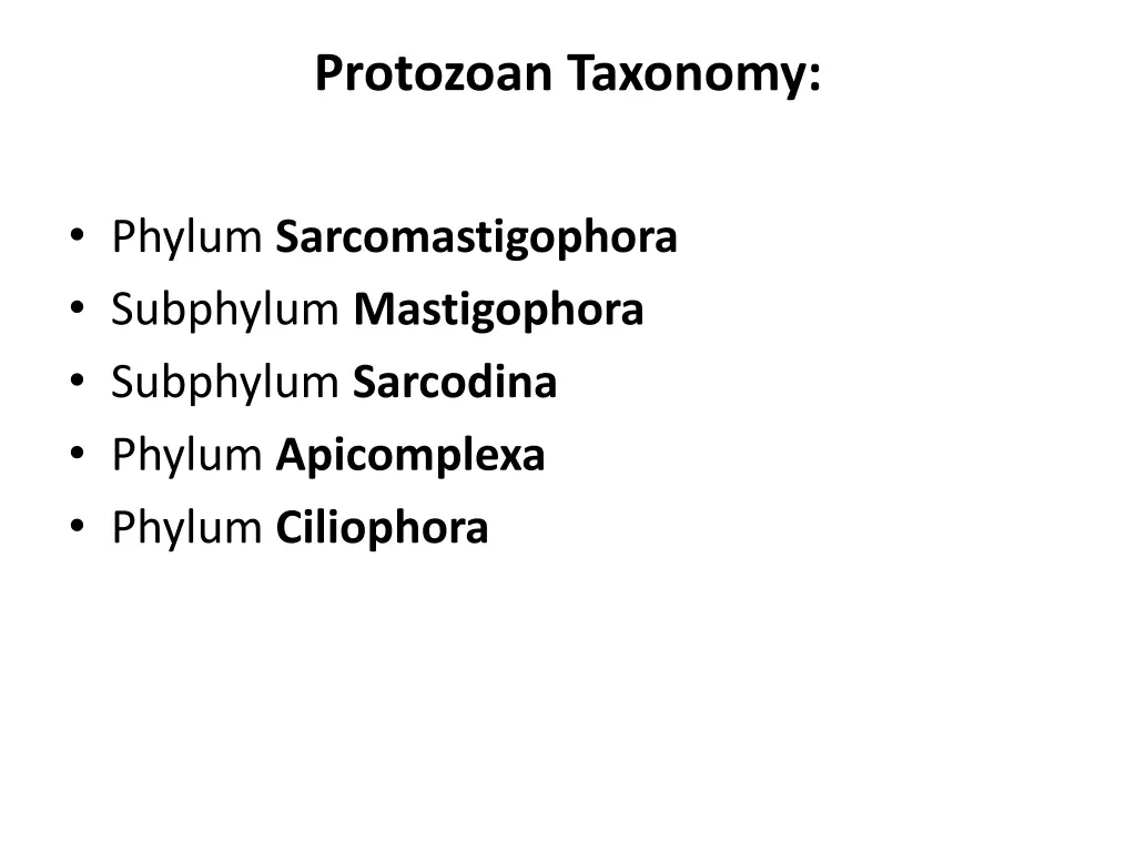 protozoan taxonomy