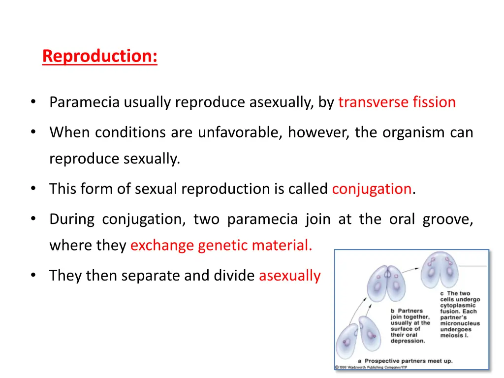 reproduction