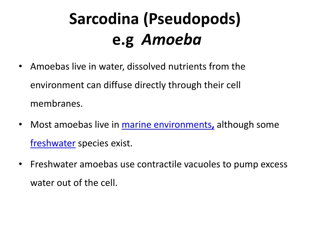 sarcodina pseudopods e g amoeba 1