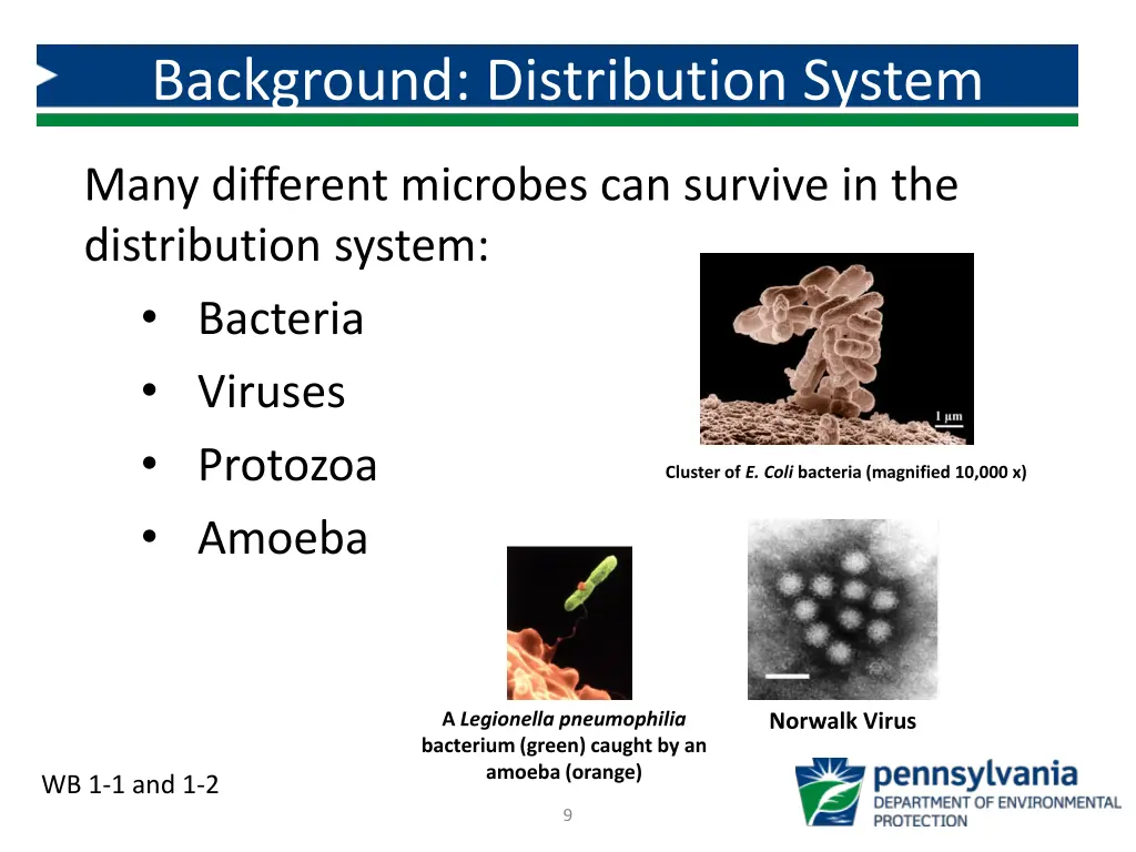 background distribution system 1