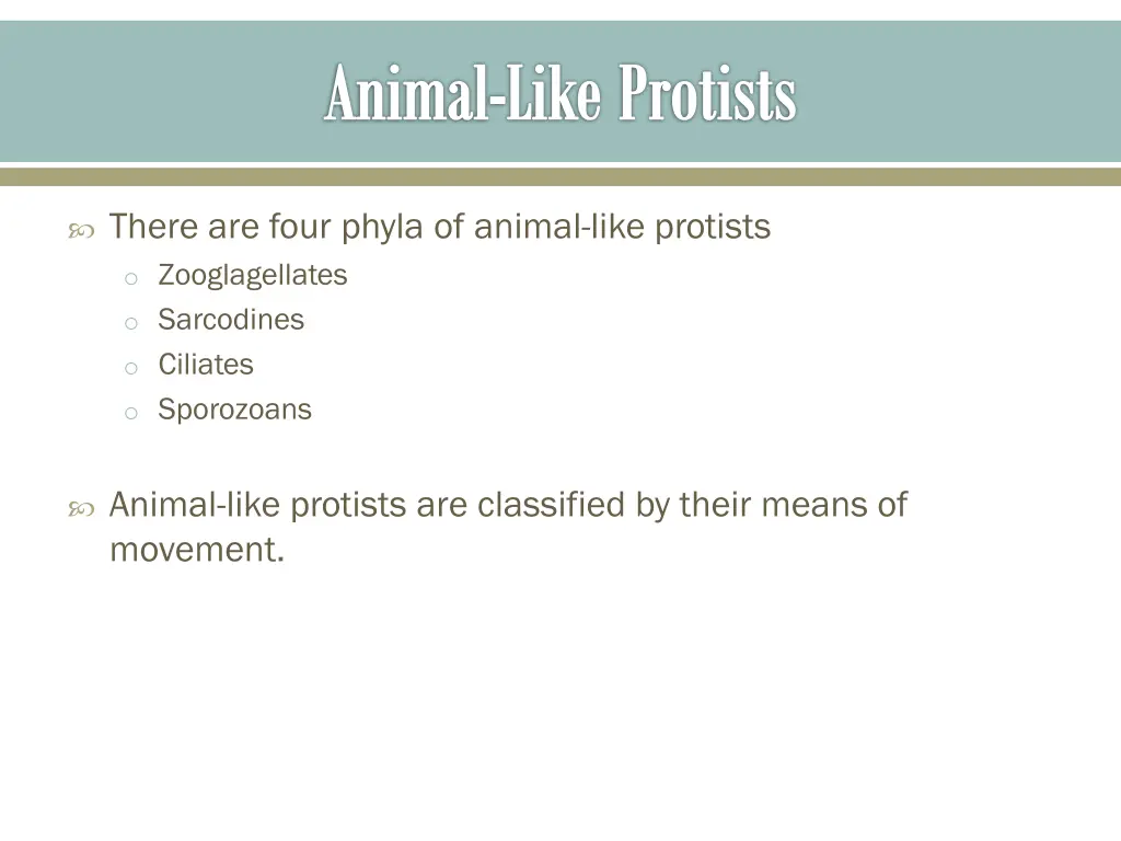 animal like protists