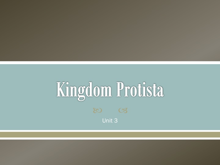 kingdom protista