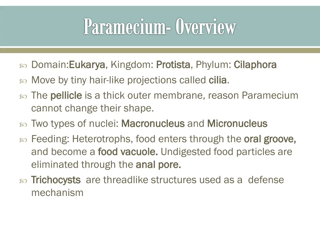 paramecium overview