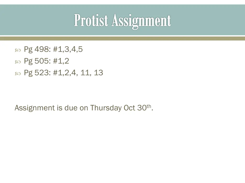 protist assignment