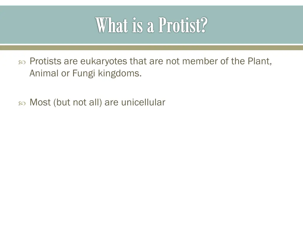 what is a protist