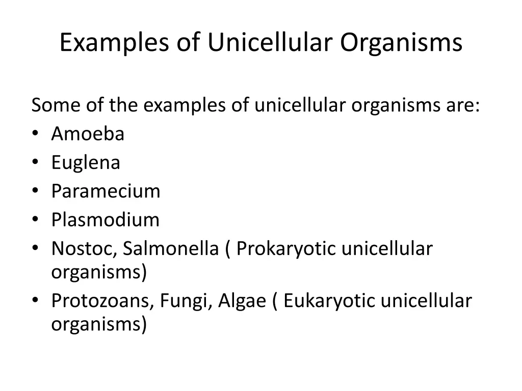 examples of unicellular organisms