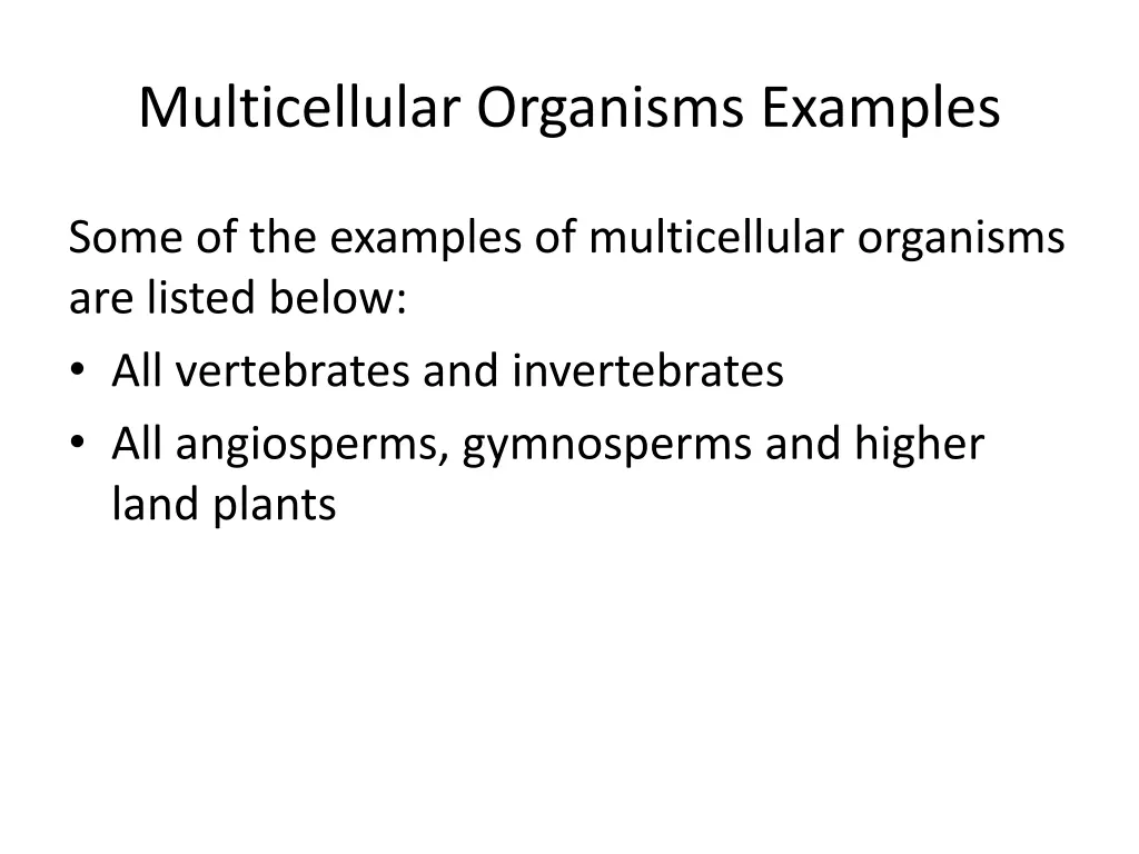 multicellular organisms examples