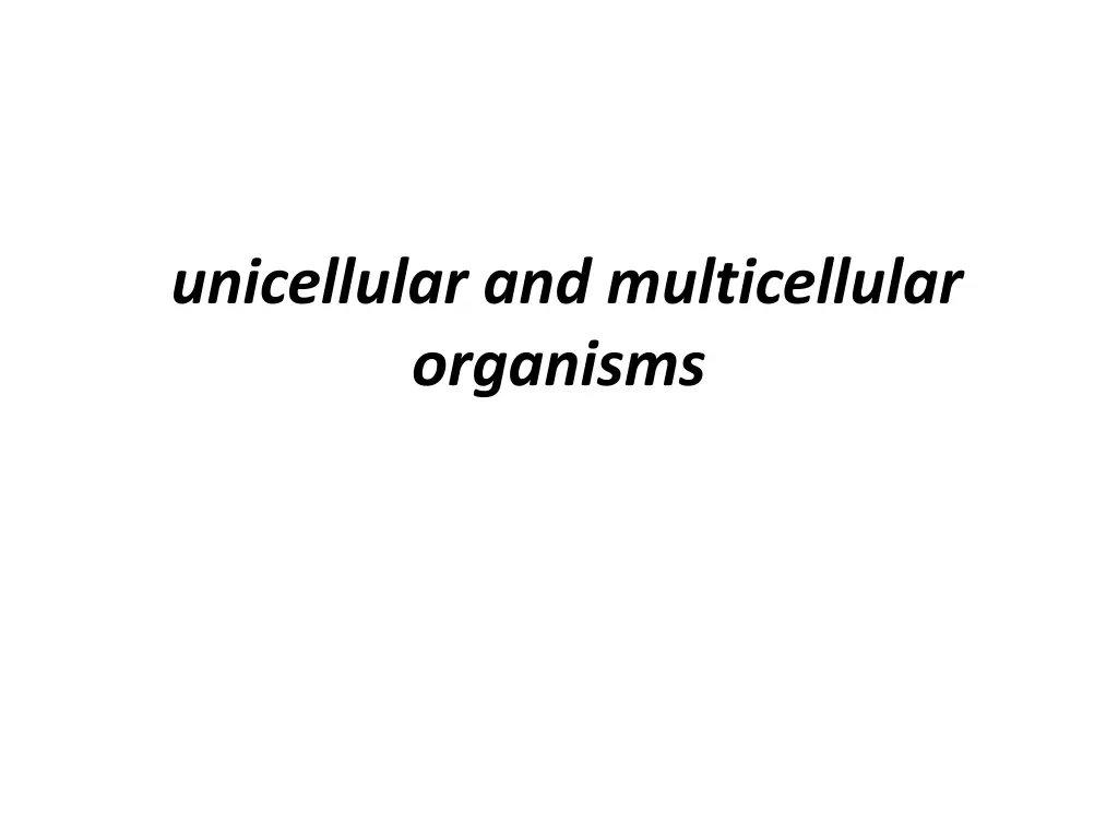 unicellular and multicellular organisms