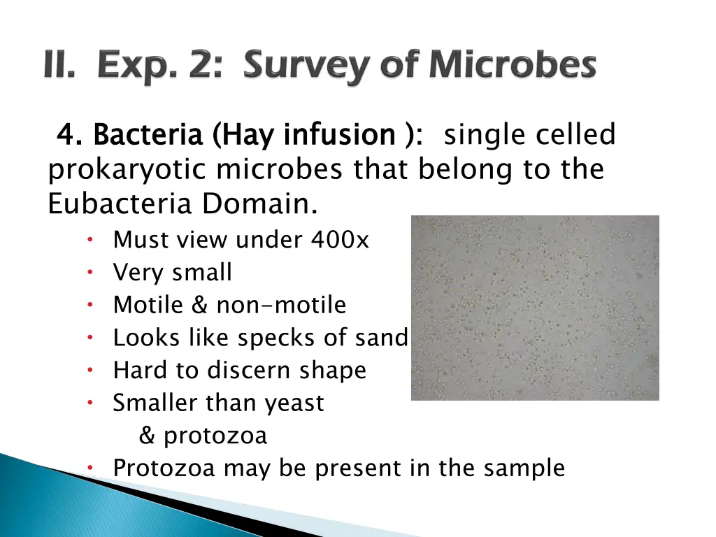 4 bacteria hay infusion prokaryotic microbes that