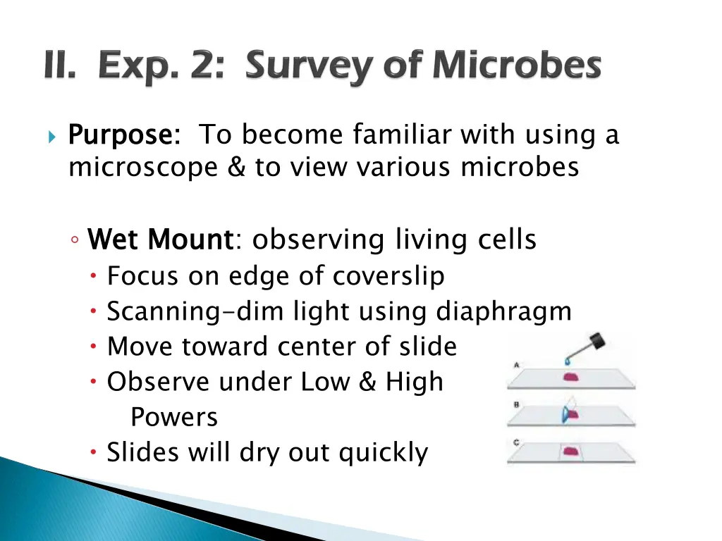 purpose microscope to view various microbes