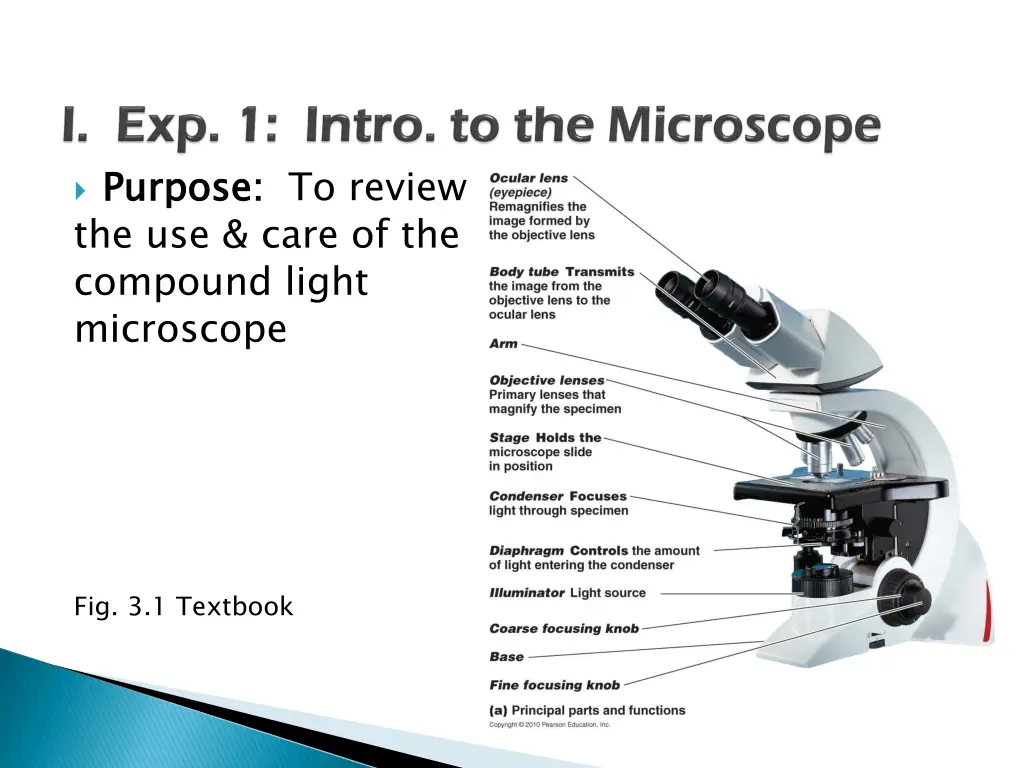 purpose the use care of the compound light