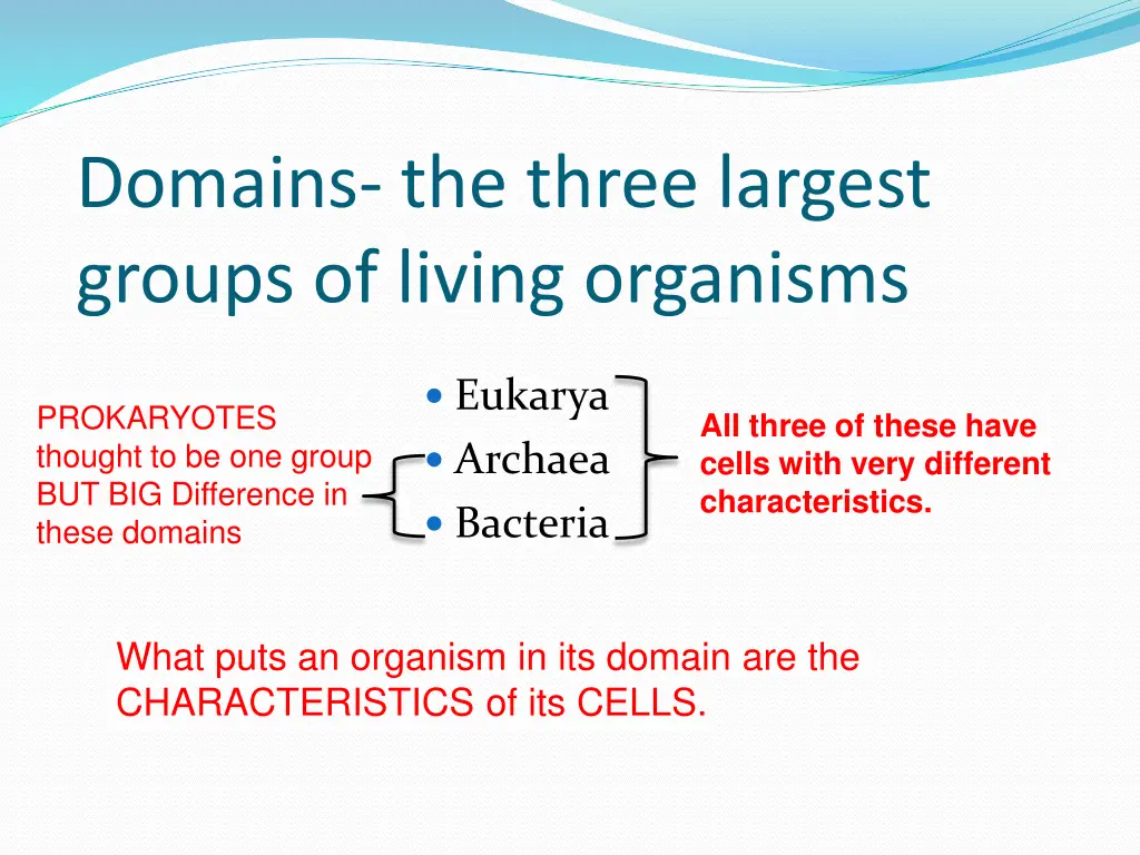 domains the three largest groups of living