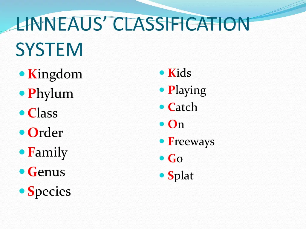 linneaus classification system k ingdom p hylum