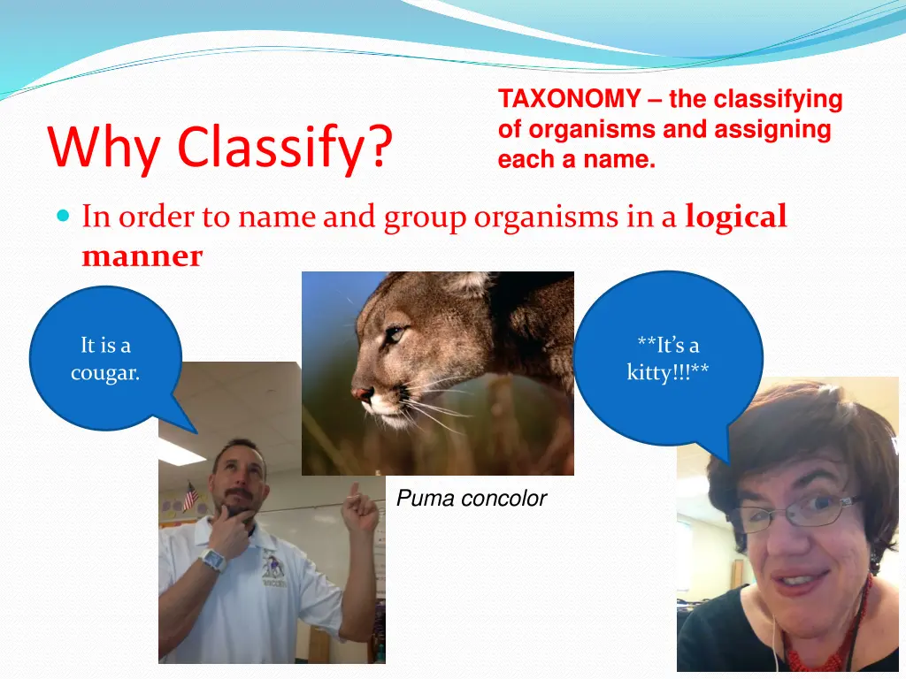 taxonomy the classifying of organisms 1