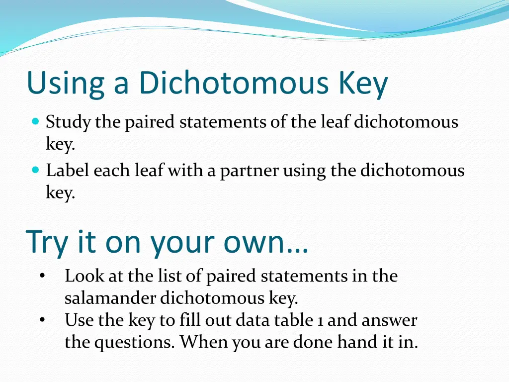 using a dichotomous key