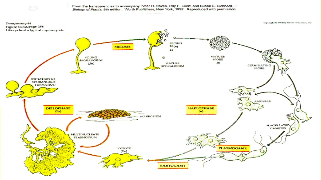 slide5