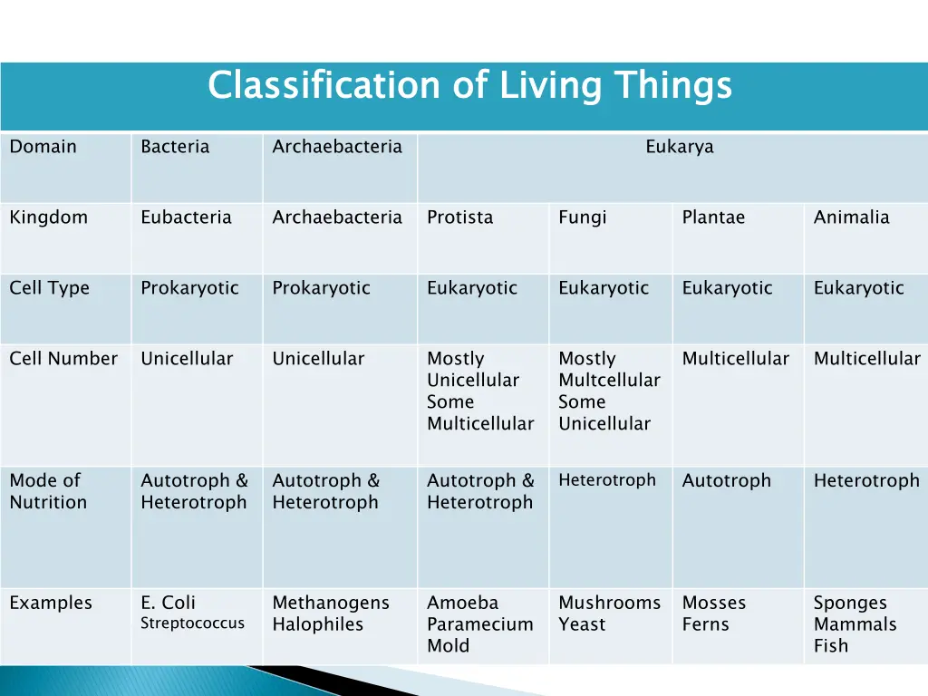 classification of living things