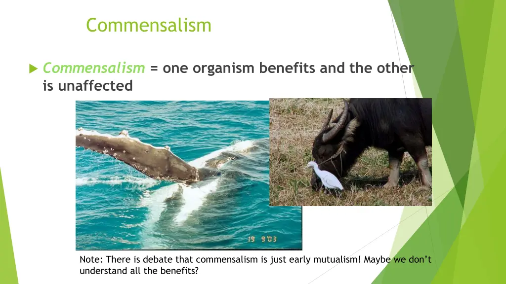 commensalism