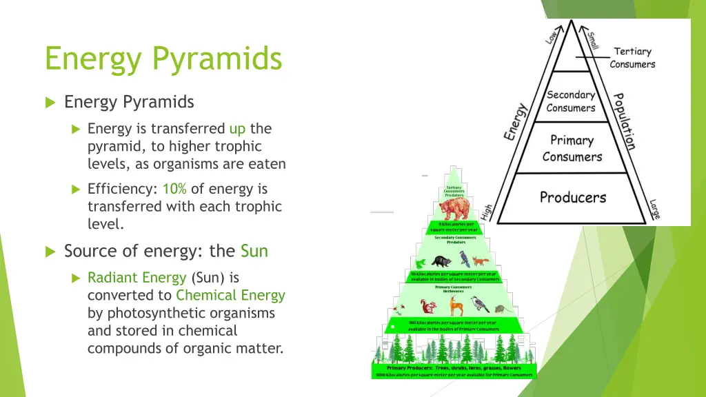 energy pyramids