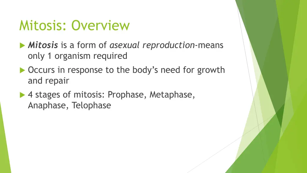 mitosis overview