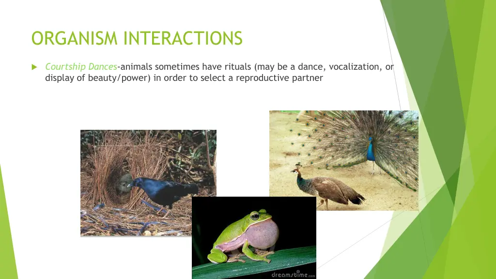 organism interactions 1