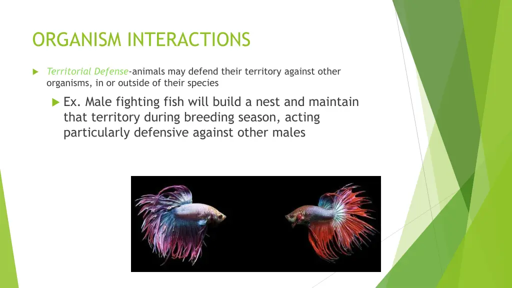 organism interactions 2