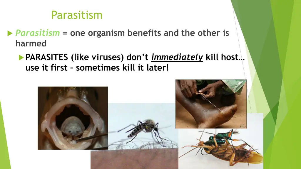 parasitism