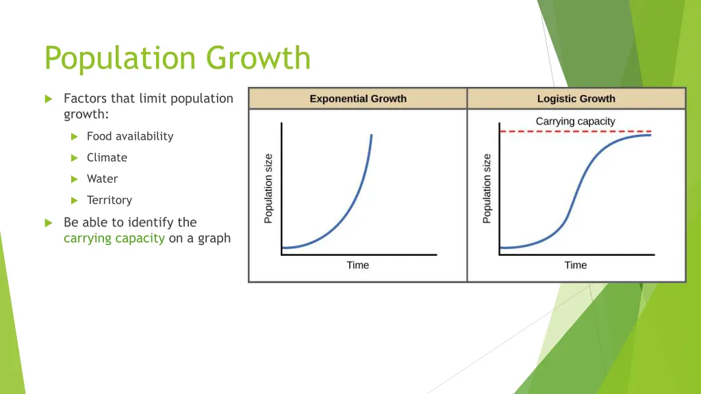 population growth