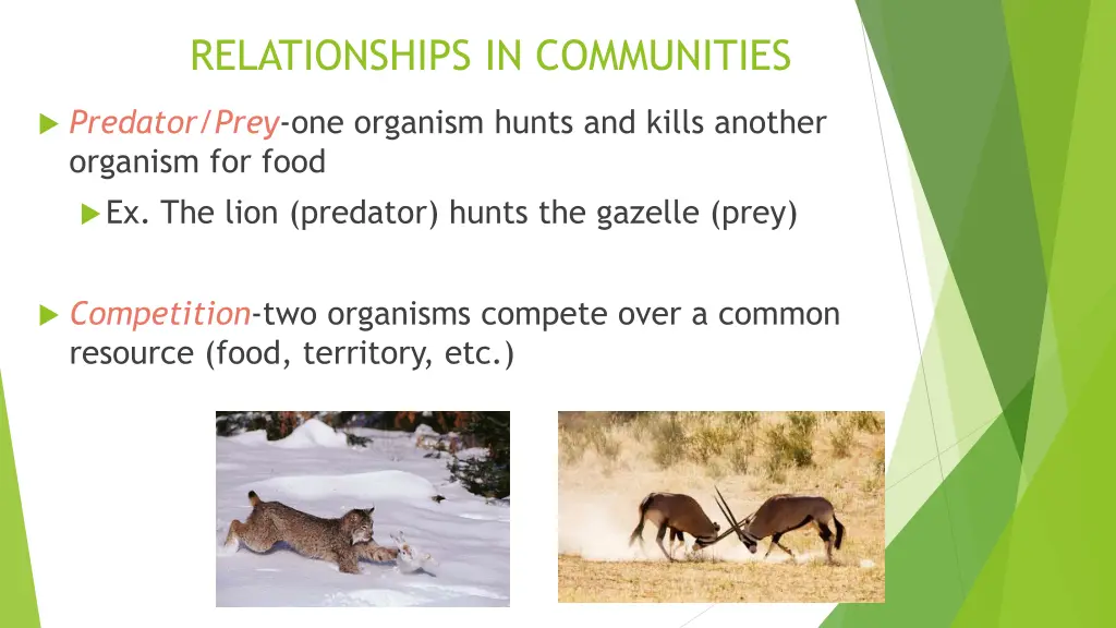 relationships in communities