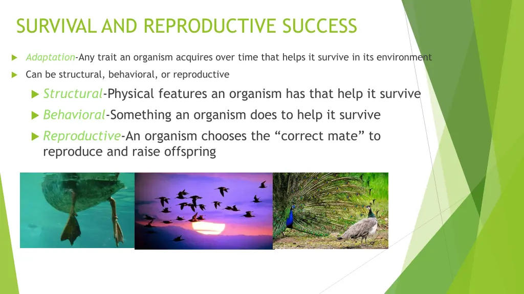 survival and reproductive success