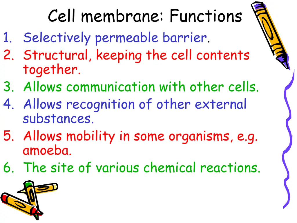 cell membrane functions 1 selectively permeable