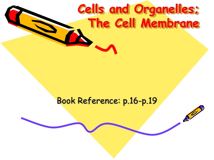 cells and organelles the cell membrane