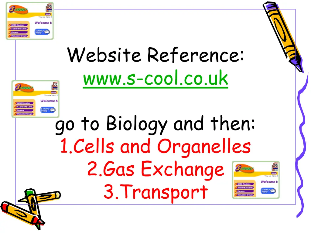 website reference www s cool co uk