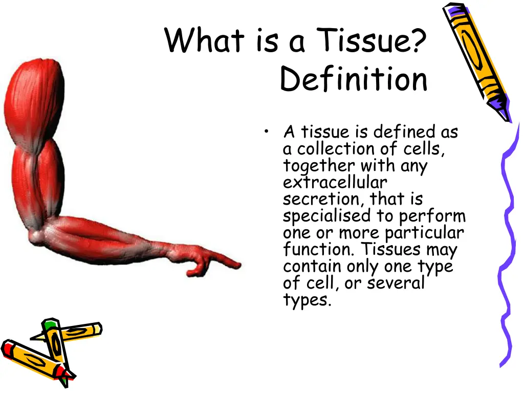 what is a tissue definition