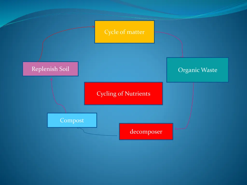 cycle of matter